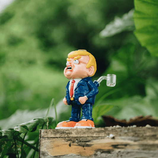 BOONG DONAL TRUMP HD360